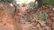 PICTURES/Bear Mountain Trail - Sedona/t_Middle Section - Looking Back Down Trail.JPG